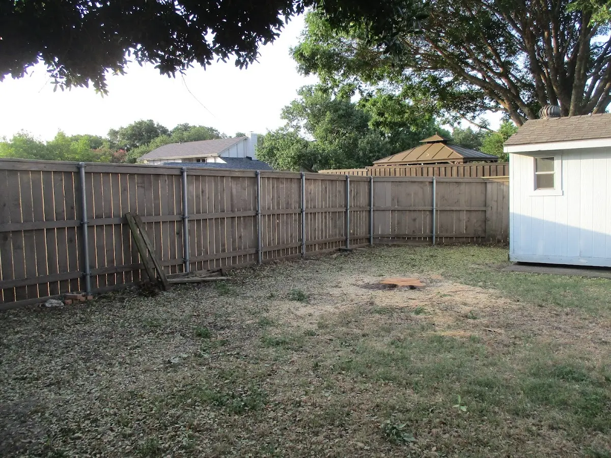 Cleared yard after professional tree removal in Lee Center