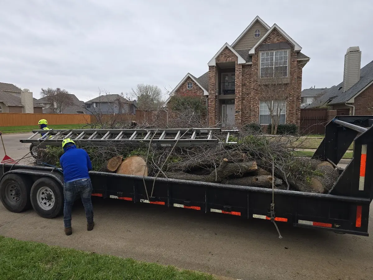 Expert Tree Pest Control with proper safety equipment in Lee Center